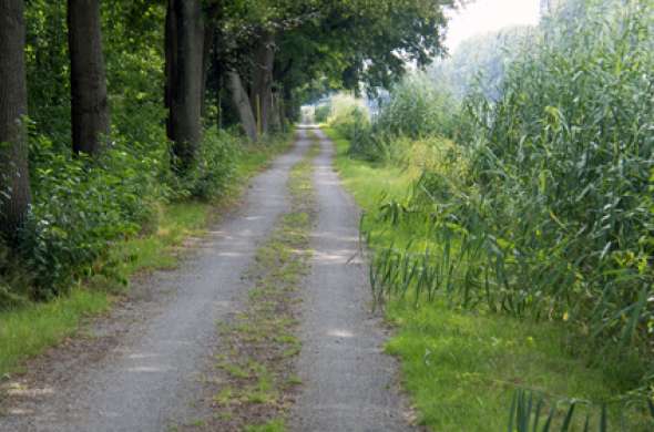 Beeld bij Orvelte en Westerbork