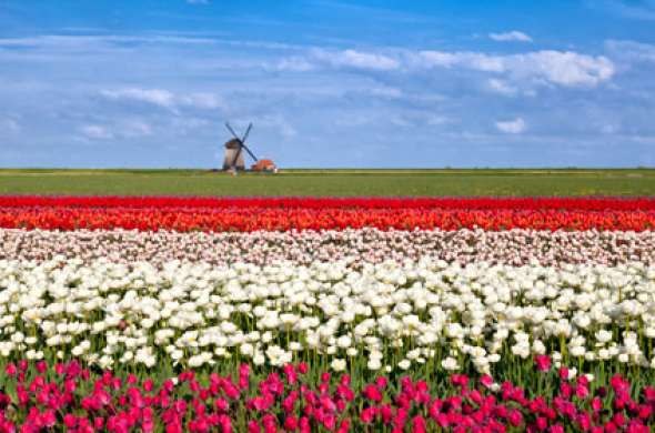 Beeld bij Hollands rondje
