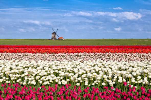 Beeld bij Hollands rondje