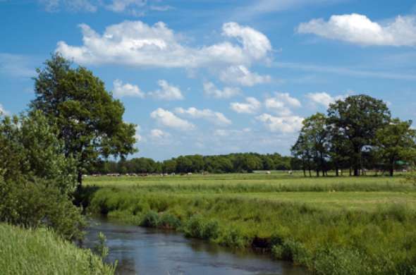 Beeld bij Duizelse route