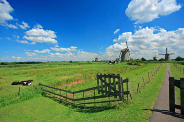 Beeld bij Winterswijk-Aaltenroute