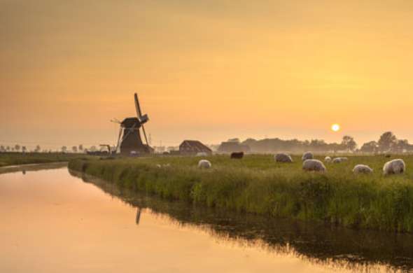 Beeld bij Fietsen door de Woldstreek