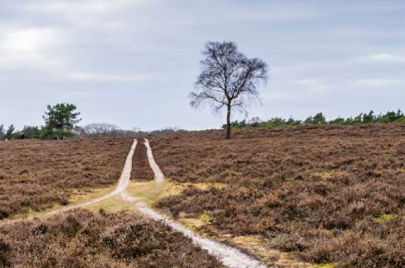 Beeld bij Oldebroekse Heideroute