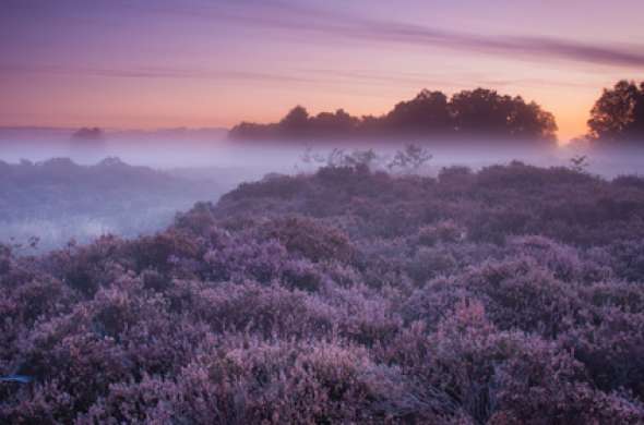 Beeld bij Leusderheideroute