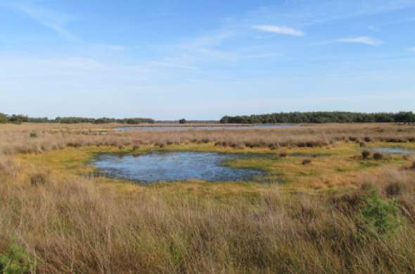 Beeld bij De Strabrechtse Heideroute