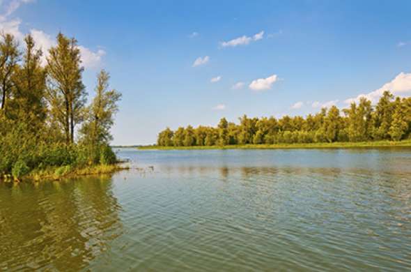 Beeld bij De Biesbosch en Vesting Woudrichem