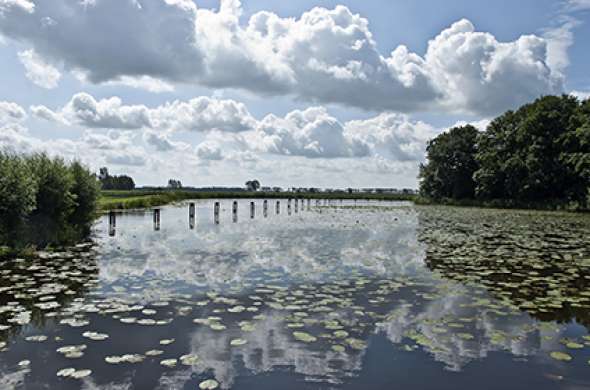 Beeld bij Plassen bij Woerden en Nieuwkoop