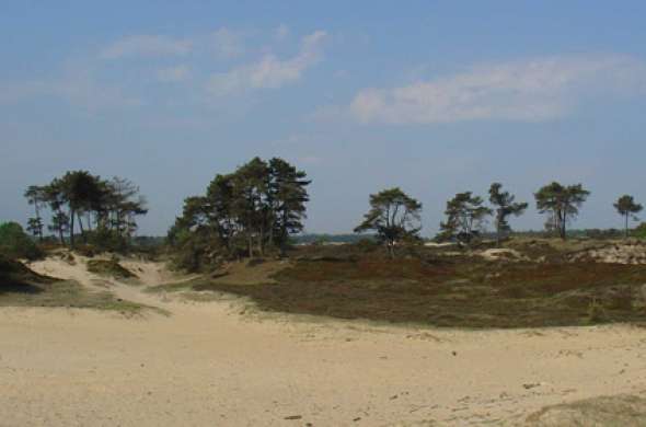 Beeld bij De kale duinen, Aekingerzand