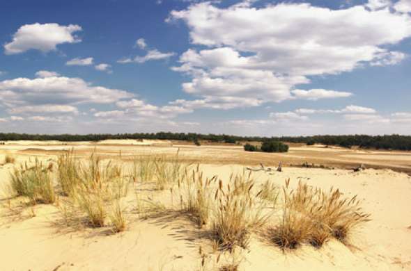 Beeld bij Beekhuizerzand