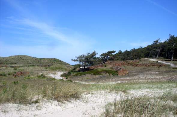 Beeld bij Zomer aan zee