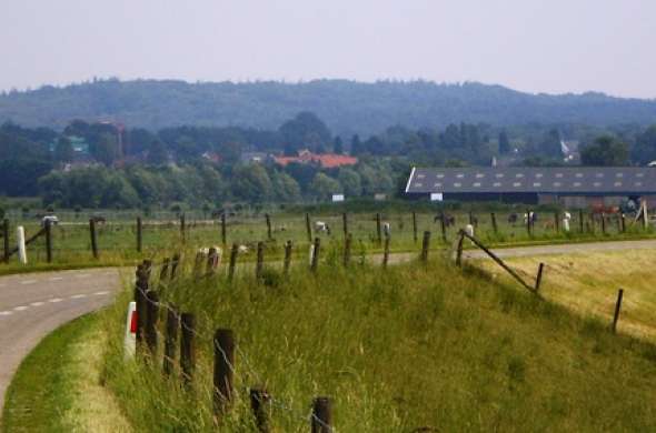 Beeld bij Nationaal Park Utrechtse Heuvelrug