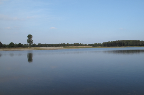 Beeld bij Door de Maasduinen en fietsen langs de Maas