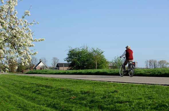 Beeld bij Kastelen rond de Maas