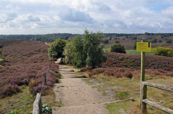 Beeld bij Veluwezoom - Het eerste nationale park van Nederland