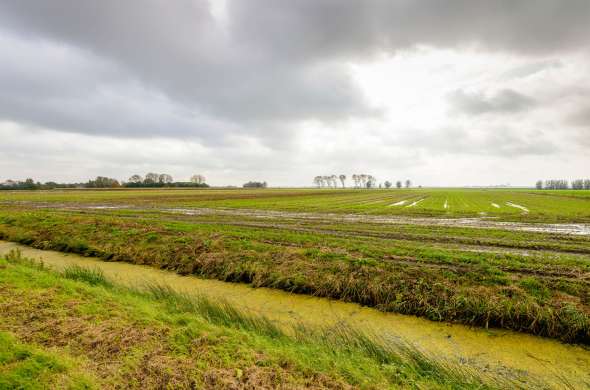 Beeld bij Water en polderlandschap rond de Biesbosch