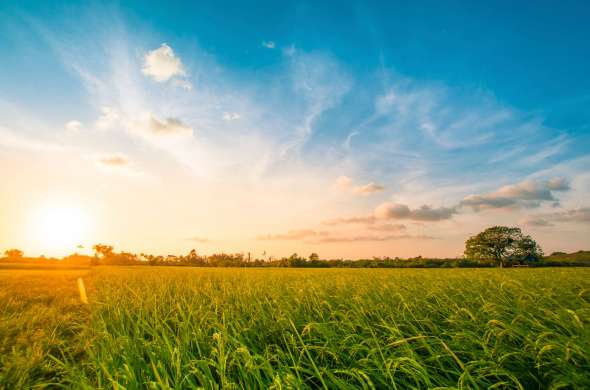 Beeld bij Langs water in Drenthe