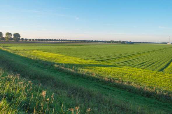 Beeld bij Door de polder over de Kampersluis via Dronten