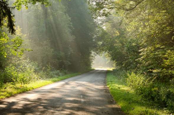 Beeld bij Bossen en boerenlandschap