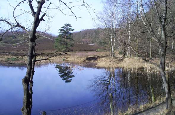 Beeld bij De Oostelijke Mijnstreek