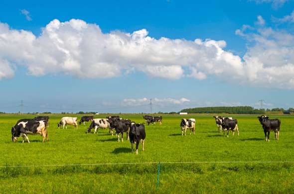 Beeld bij Kunstmatig landschap door Lelystad en Urk