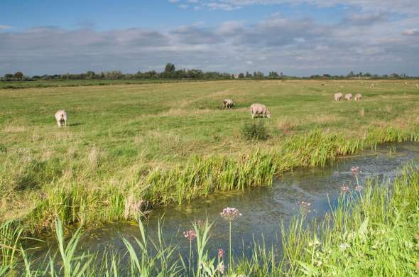 Beeld bij Friese meren en kleine Friese dorpjes