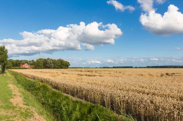 Beeld bij Groningen Delfzijl