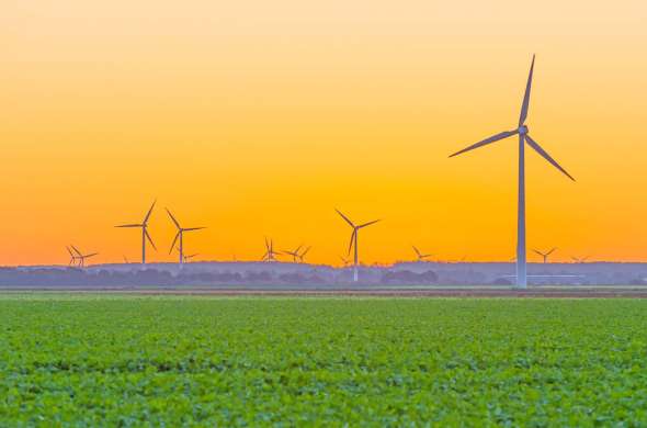 Beeld bij Rondje door de polder