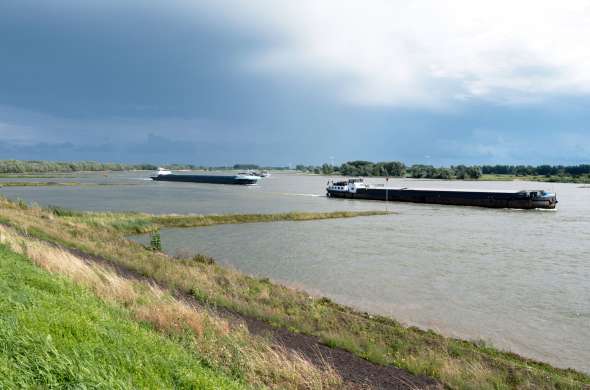 Beeld bij Uiterwaarden en kribben: waterhuishouding bij de grote rivieren