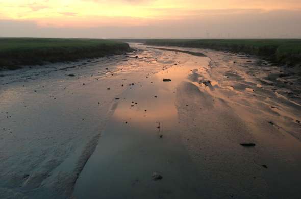 Beeld bij Een verdwenen polder in Zeeuws-Vlaanderen