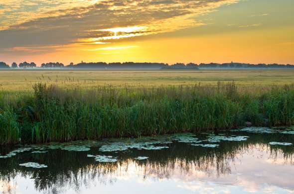 Beeld bij De jongste ontginning van Drenthe