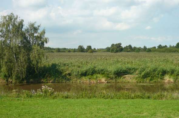 Beeld bij De Bethunepolder