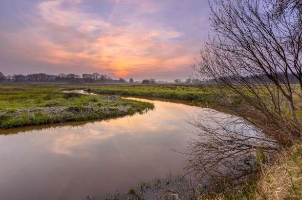 Beeld bij Door de Mastenbroekerpolder