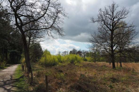 Beeld bij Het Leersumse Veld en de Utrechtse Heuvelrug