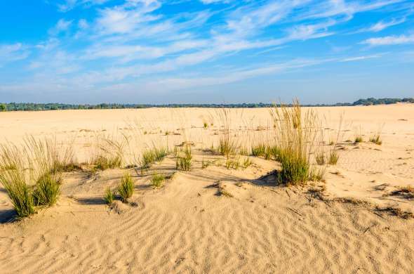 Beeld bij Ronde Nationaal Park Loonse en Drunense Duinen