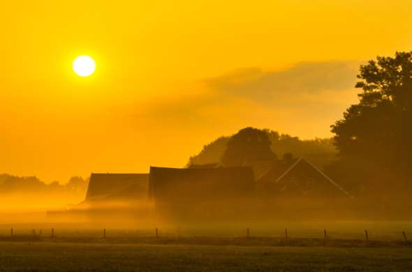 Beeld bij De Duitse grens en Twente