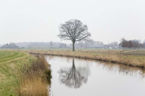 Beeld bij Vriezenveenroute