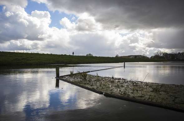 Beeld bij Natuur onder Den Bosch