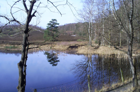 Beeld bij Brunsummerheide