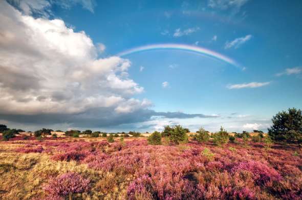 Beeld bij Dalerpeel