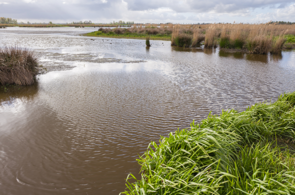 Beeld bij De Groene Jonker