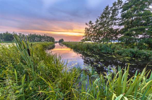 Beeld bij Beekdal van het Koningsdiep