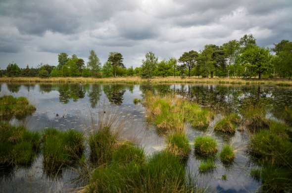 Beeld bij De Oisterwijkse Bossen