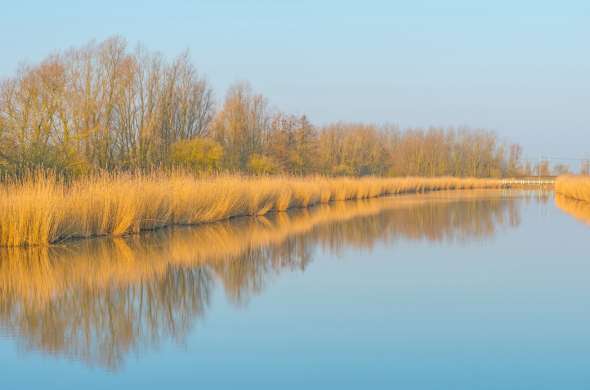 Beeld bij Kanalen in de Flevopolder