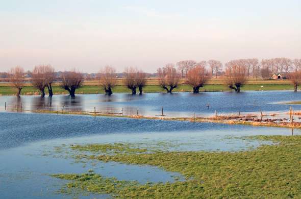 Beeld bij Het Zwarte Schaar