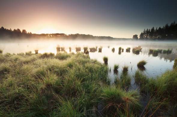 Beeld bij Boswachterijen op de Hondsrug