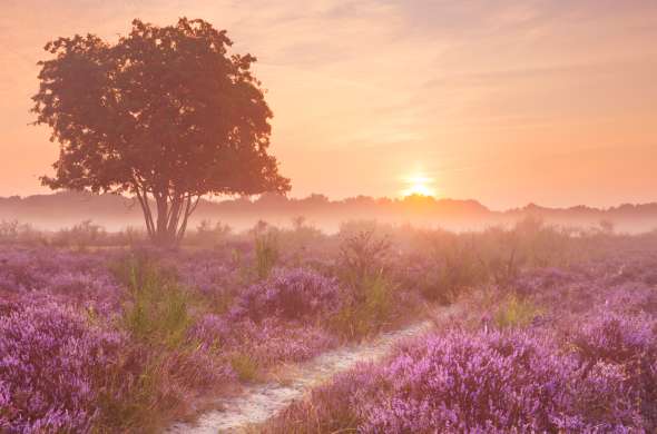 Beeld bij De heidevelden van Het Gooi