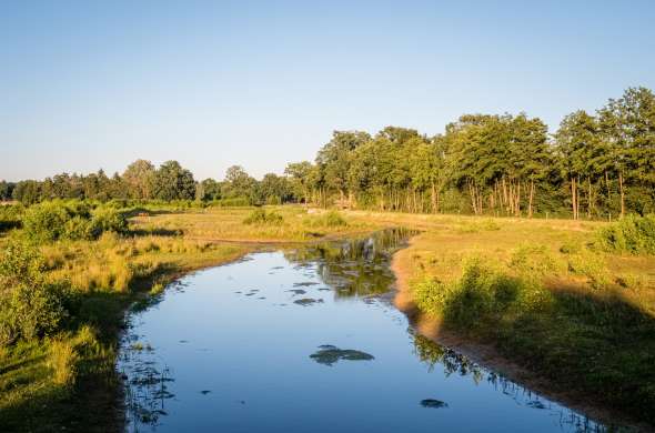 Beeld bij Het Reestdal en Boswachterij Staphorst