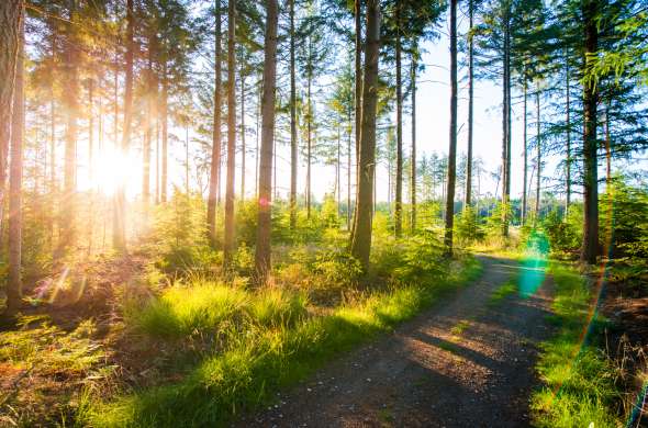 Beeld bij Natuurgraven op Schoorsveld