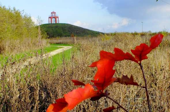 Beeld bij Natuurbegraafplaats Reiderwolde