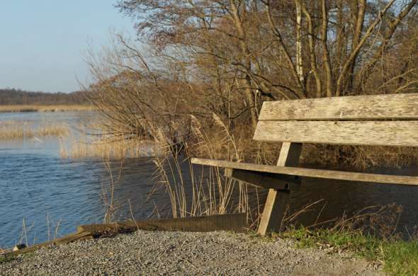 Beeld bij 's-Gravelandse Buitenplaatsen en Naardermeer